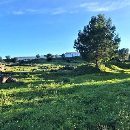 Apartamento En Roses Parking Y Piscina Comunitaria Экстерьер фото